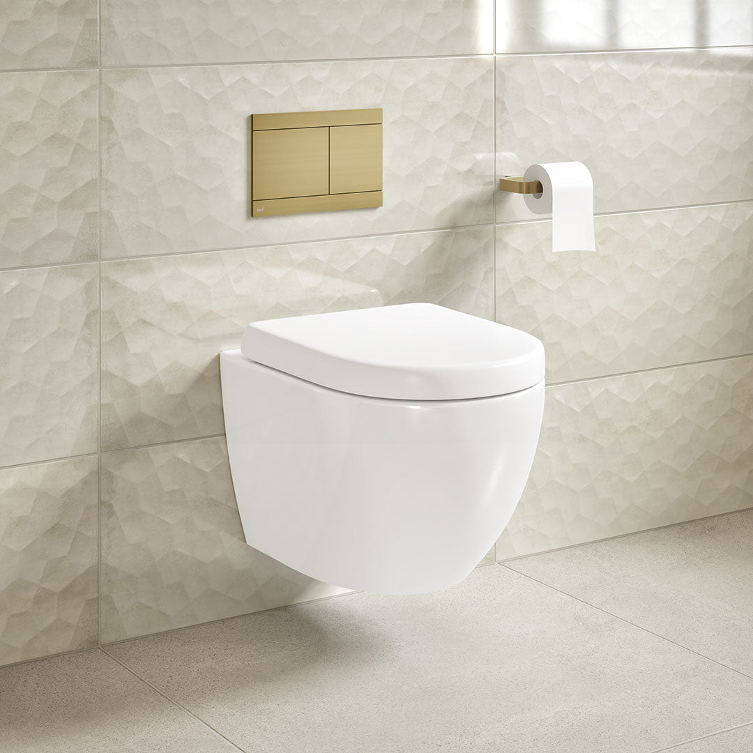 Wall Hung Toilet