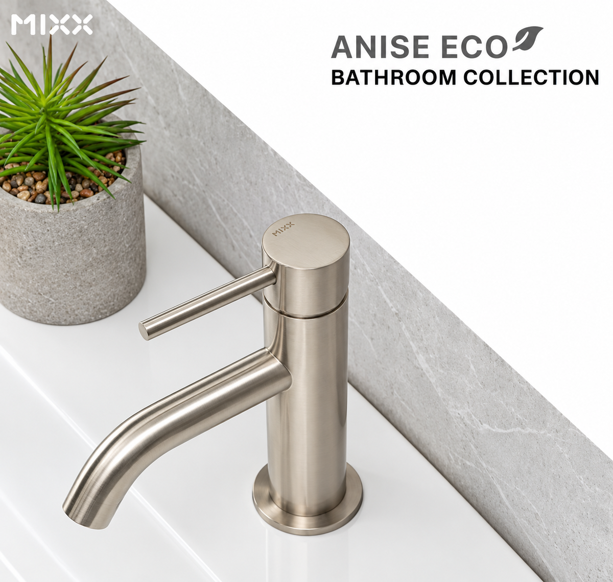 Anise Eco