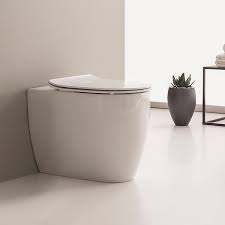 Floor Mount Toilet