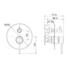 Anise Shower Diverter