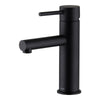 Anise Basin Mixer Straight Spout