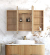 *PRE-ORDER *LED Newport Shaving Cabinet - Premium Edition