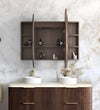 LED Bondi Sable Walnut Shaving Cabinet