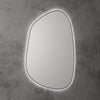 Tarcoola Asymmetric LED Mirror