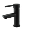 Pentro Basin Mixer