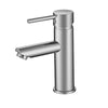 Pentro Basin Mixer