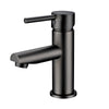 Pentro Basin Mixer