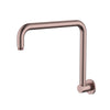 Shower Arm