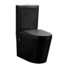 Rimless Toilet (Avis)