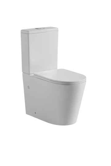 Rimless Toilet (Avis)