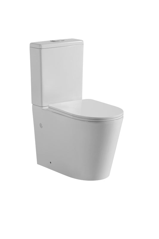 Rimless Toilet (Avis)