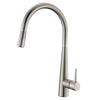 Pentro Pull Out Kitchen Mixer