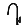 Ecco Pull Out Sink Mixer
