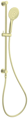 3 Function Shower Rail