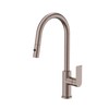 Bianca Pull Out Sink Mixer With Vegie Spray Function