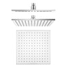 Cavallo Shower Head