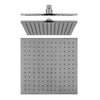 Cavallo Shower Head