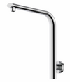BERLIN WALL SHOWER ARM