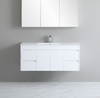 Polar Wall Hung Vanity