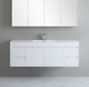 Polar Wall Hung Vanity