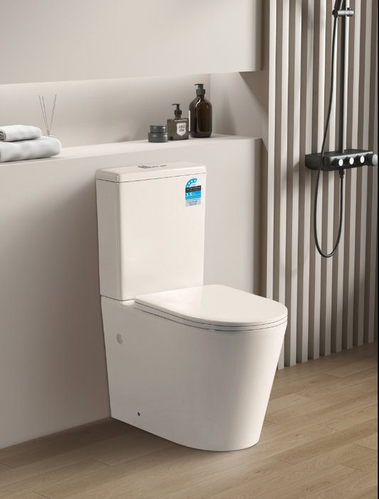 Avis Rimless Toilet