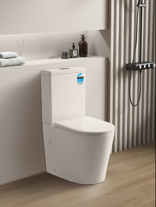 Avis Rimless Compact Toilet