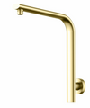 BERLIN WALL SHOWER ARM