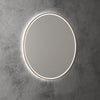 Windsor LED Mirror 700-900mm