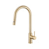 Anise Plus Pull Out Sink Mixer