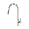 Anise Plus Pull Out Sink Mixer