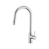 Anise Plus Pull Out Sink Mixer