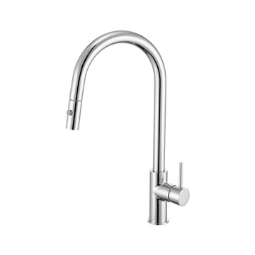 Anise Plus Pull Out Sink Mixer