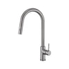 Anise Plus Pull Out Sink Mixer