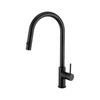 Anise Plus Pull Out Sink Mixer