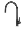 Anise Eco Pull Out Sink Mixer