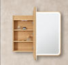 Austin LED Shaving Cabinet