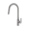 Saffron Pull Out Sink Mixer