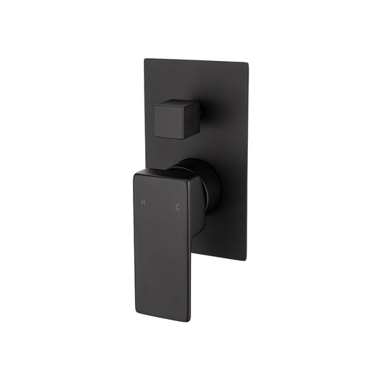Sage Shower Mixer with Diverter