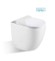 Ascoli Floor stand toilet (Rimless flush pan only) 